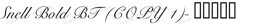 Snell Bold BT (COPY 1)字体转换